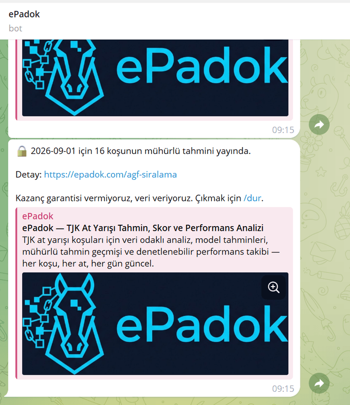 ePadok Telegram botu Anlık komutu ekran görüntüsü